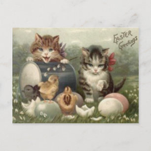 Cartão Postal De Festividades Easter Chick Colored Egg Kitten Cat