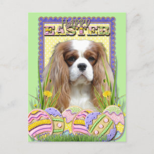 Cartão Postal De Festividades Easter Egg Cookies - Cavalier - Blenheim