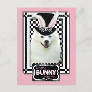 Cartão Postal De Festividades Easter - Some Bunny Loves You - Eskie
