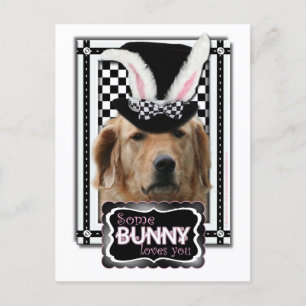 Cartão Postal De Festividades Easter - Some Bunny Loves You - Golden Retriever