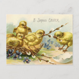 Cartão Postal De Festividades Eixo dos ovos dos pintinhos Felzs pascoa antigos