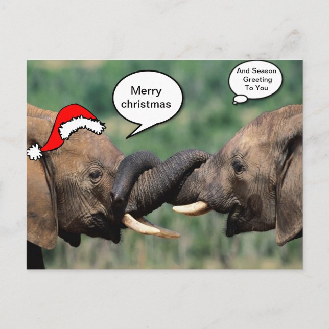 Cartão Postal De Festividades Elefante do Natal (Frente)