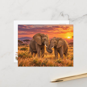 Cartão Postal De Festividades Elefantes Africanos Românticos Pôr do Sol na Savan