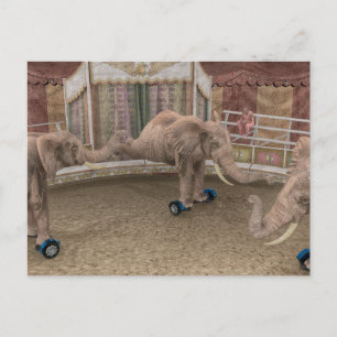 Cartão Postal De Festividades Elefantes de circo