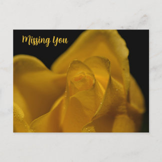 Cartão Postal De Festividades Elegante Solteiro Amarelo Rosa Feche-Se Perdendo V