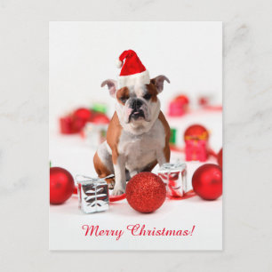 Cartão Postal De Festividades Enfeites Caixa de Presente de Natal Bulldog Chapéu