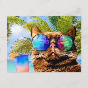 Cartão Postal De Festividades Engraçado Cat 675 Beach