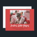 Cartão Postal De Festividades Engraçado Natal - Pet Foto Vermelho Vermelho<br><div class="desc">Estes cartões postais engraçados e bonitos de 4, 25" x 5, 6" apresentam uma foto de cheio sangrando em um fundo vermelho com uma saudação dupla,  "Papais noeis Pequeno Yelper",  embaixo,  "Desejando toda uma noite silenciosa."</div>