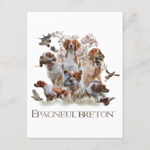 Cartão Postal De Festividades Epagneul Breton, Bretanha Spaniel