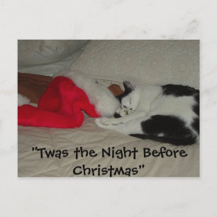 Cartão Postal De Festividades Era a Noite antes do Natal Gatinho