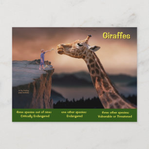 Cartão Postal De Festividades Espécies de Girafa estão agora ameaçadas -