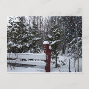 Cartão Postal De Festividades Esperando pela casa de pássaros de Natal