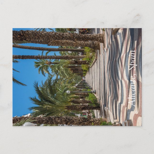 Cartão Postal De Festividades Esplanade, Alicante, Espanha (Frente)