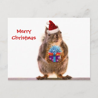 Cartão Postal De Festividades Esquilo de Natal bonito e presente