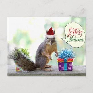 Cartão Postal De Festividades Esquilo de Natal com Presentes de Natal