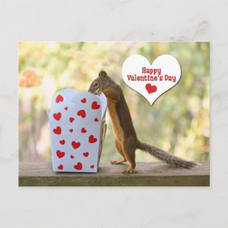 Cartão Postal De Festividades Esquilo do dia de os namorados
