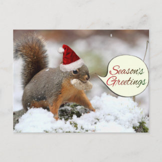 Cartão Postal De Festividades Esquilo do Natal em neve