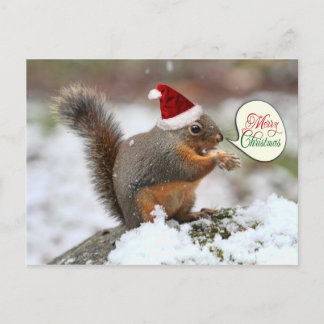Cartão Postal De Festividades Esquilo do Natal em neve
