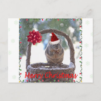 Cartão Postal De Festividades Esquilo Vestindo Santa Hat