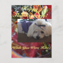 Estações Maltesas Saem de Design