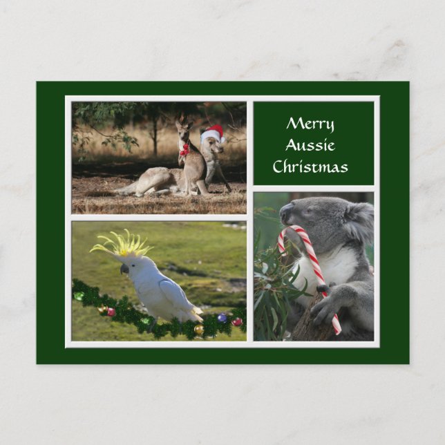 Cartão Postal De Festividades Estilo australiano dos animais do Natal - (Frente)