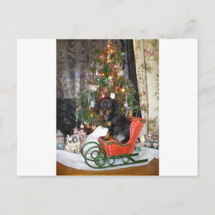 Cartão Postal De Festividades Estilo Dachshund de Natal