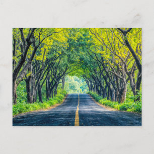 Cartão Postal De Festividades Estrada através de Beco de Árvore Denso