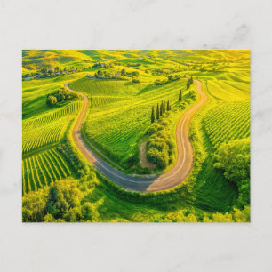 Cartão Postal De Festividades Estradas Sinuosas Através de Vinhas e Ciprestes