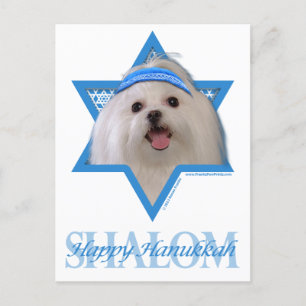 Cartão Postal De Festividades Estrela de Hanukkah de David - Maltês