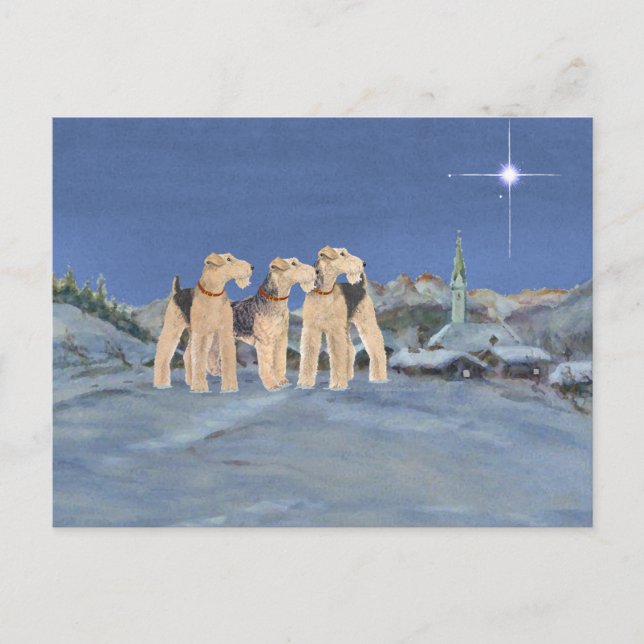 Cartão Postal De Festividades Estrela de Natal (Frente)