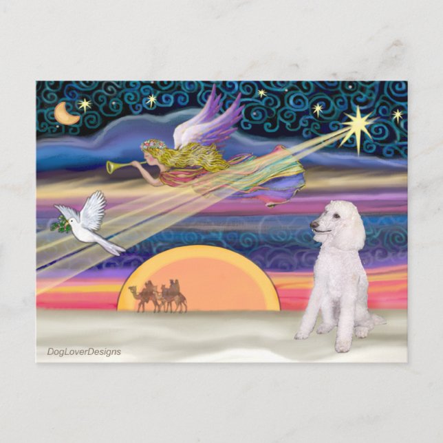 Cartão Postal De Festividades Estrela de Natal - Poodle (Padrão Branco) - (Frente)