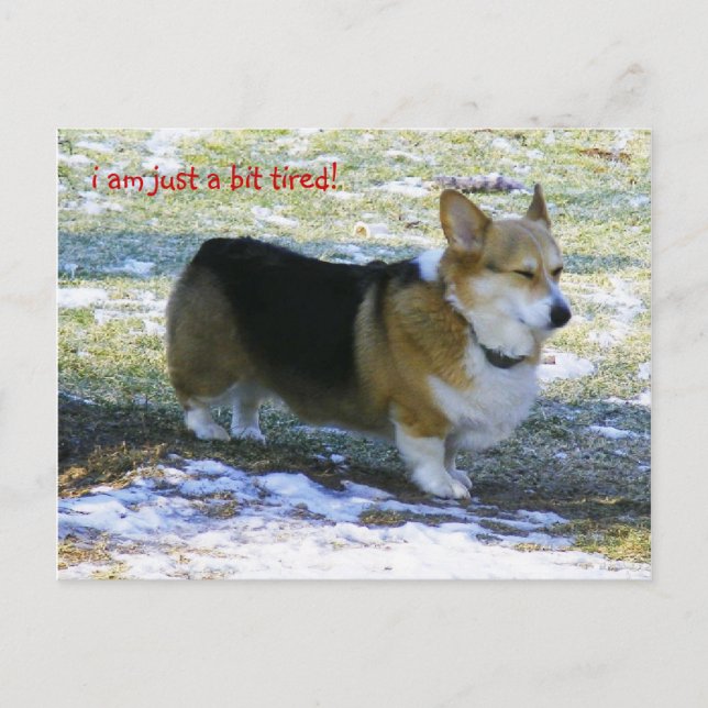 Cartão Postal De Festividades EU SOU APENAS UM POUCO cansado! , (Frente)