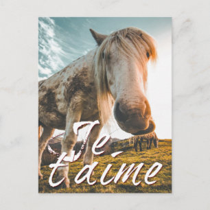 Cartão Postal De Festividades Eu te amo com cavalo olhou