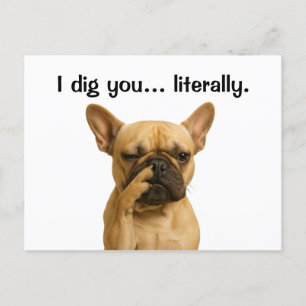 Cartão Postal De Festividades Eu Te Canto Literalmente Francês Bulldog Engraçado