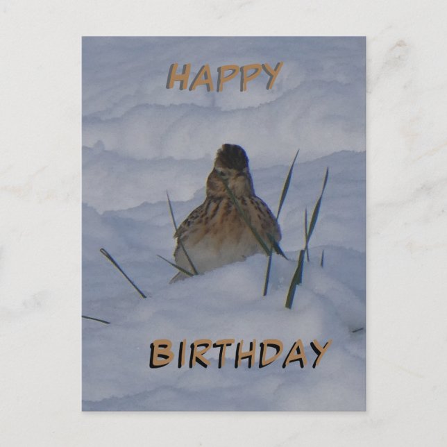Cartão Postal De Festividades Eurasian Skylark Bird Cust. Text Birthday Postcard (Frente)