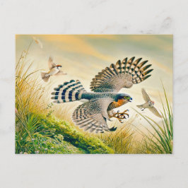 Cartão Postal De Festividades Falcão-peregrino Caçando no Prado