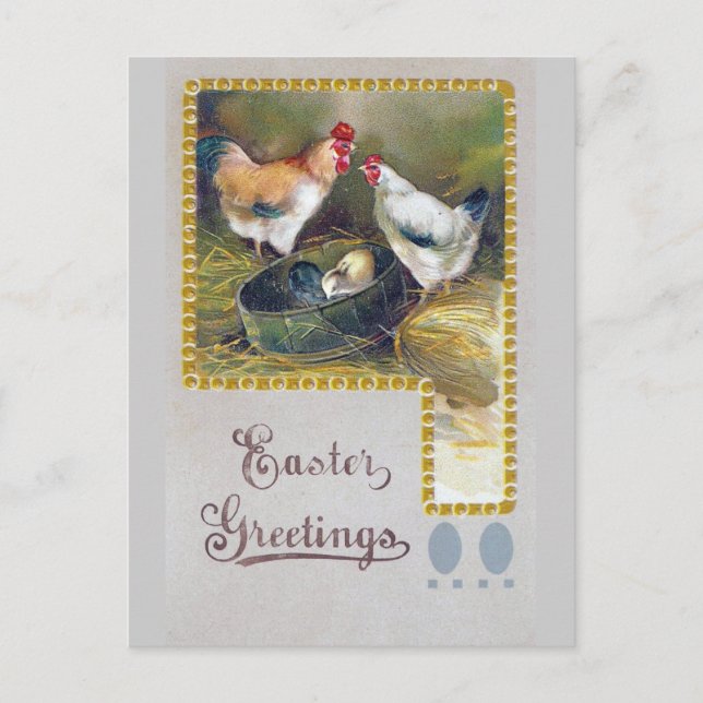 Cartão Postal De Festividades Família de frango páscoa (Frente)