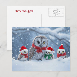 Cartão Postal De Festividades Felicidades de Natal da Coruja, Divertido e Fofo