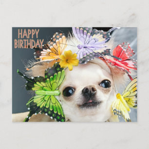 Cartão Postal De Festividades Feliz Aniversário Cachorro Engraçado
