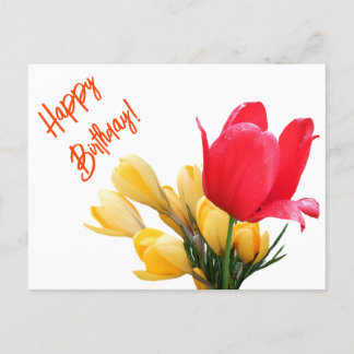 Cartão Postal De Festividades Feliz Aniversário Corco Amarelo tulipa vermelha tu