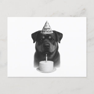 Cartão Postal De Festividades Feliz aniversário Rottweiler