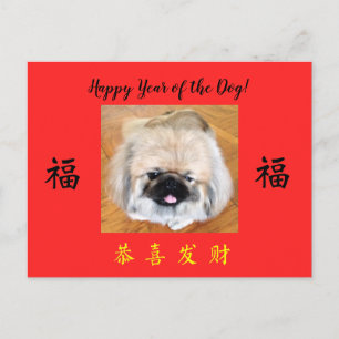 Cartão Postal De Festividades Feliz Ano do Cachorro Pekingese CNY