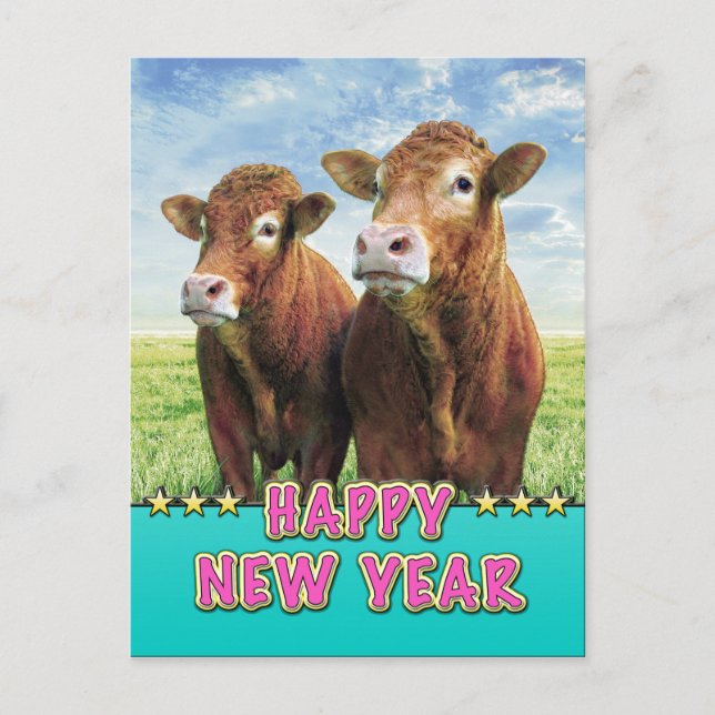 Cartão Postal De Festividades FELIZ ANO NOVO com os garotos das vacas (Frente)