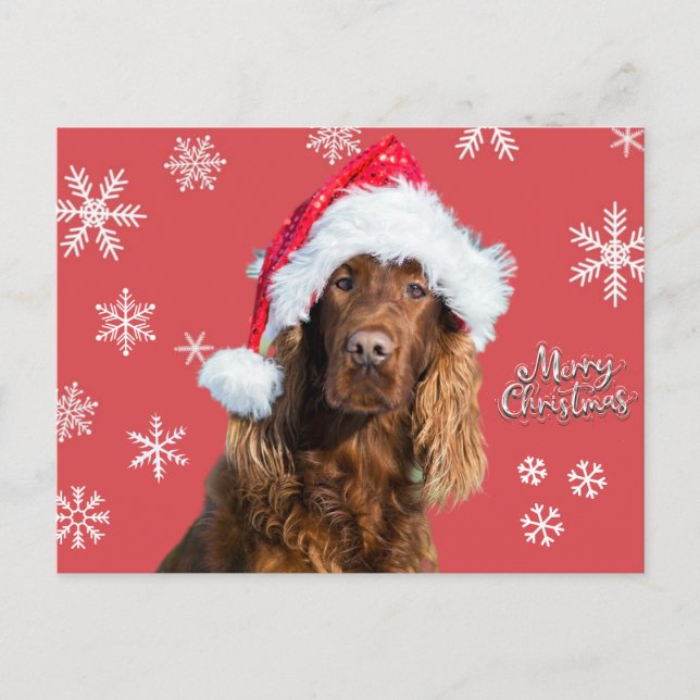 Cartão Postal De Festividades Feliz Cachorro de Natal nos Papais noeis Hat (Frente)