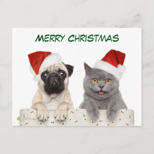 Cartão Postal De Festividades Feliz Cãozinho de Natal e Kittten