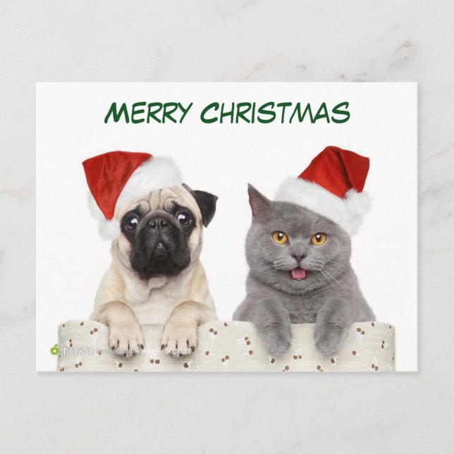 Cartão Postal De Festividades Feliz Cãozinho de Natal e Kittten (Frente)