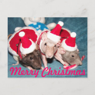 Cartão Postal De Festividades Feliz Cartão de Natal