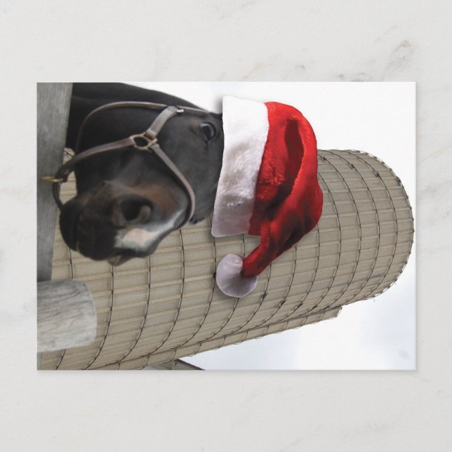 Cartão Postal De Festividades Feliz Cavalo de Natal com Papai Noel (Frente)