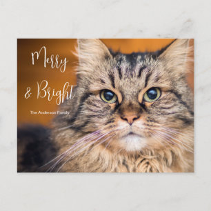 Cartão Postal De Festividades Feliz de Pet Personalizada e Cartão de Férias Bril