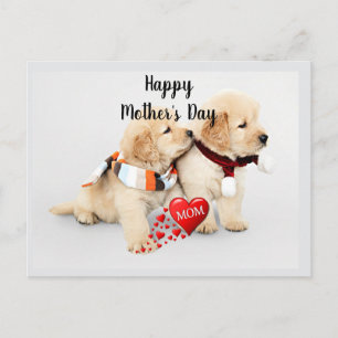 Cartão Postal De Festividades Feliz Dia das Mães--Te Amo Mãe